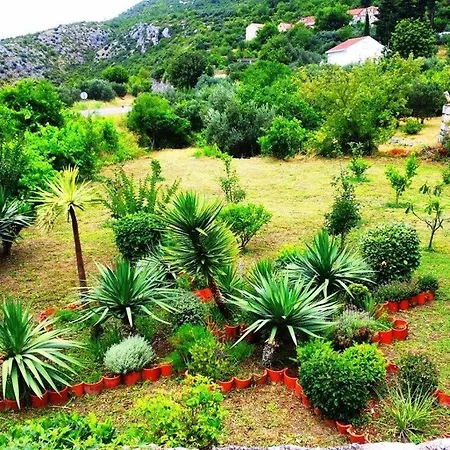 House Zdravko Hébergement de vacances Brsečine